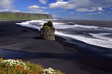 Basalt rock landscape and black lava strand at the ocean at cape Dyrholaey - the south cape of Iceland - cape Dyrholaey, south Iceland, Iceland, Europe