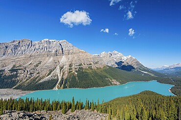 Turquoise glacier Peyto Lake, Banff National Park, Canadian Rockies, Alberta Province, Canada, North America