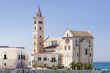 Cathedral of Trani, 11th century, Trani, Bari, Apulia Province, Italy, Europe