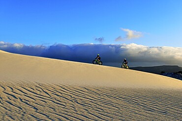 Cycling tour with fatbikes at Die Plaat Beach, Nature Reserve, De Kelders, Gansbaai, Western Cape, South Africa, Africa