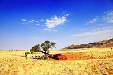 Hikers, trekkers on the Tok Tokie Trail, NamibRand Nature Reserve, Namib Naukluft Park, Namibia, Africa