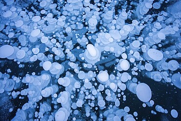 A mesmerizing view of numerous frozen bubbles captured in a thick layer of ice on a lake, creating a unique and abstract natural pattern, Canadian Rockies