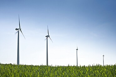 Wind turbines against a blue sky, field in the foreground