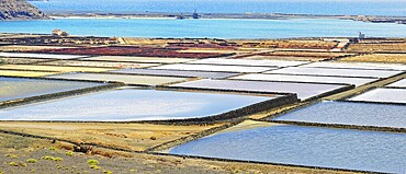 Sea salt production, Salinas de Janubio, La Hoya, Lanzarote, Canary Islands, Spain, Europe