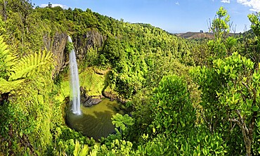 Wall of columnar basalt with waterfall Bridal Veil Falls, tropical vegetation, Pakoka River, Makomako, Waikato, North Island, New Zealand, Oceania