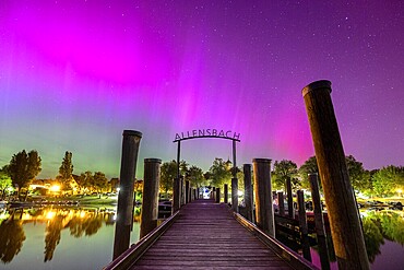A wooden walkway under a glowing sky with colourful lights and trees with auroras, harbour, Allensbach, Lake Constance, Baden-Württemberg, Germany, Europe