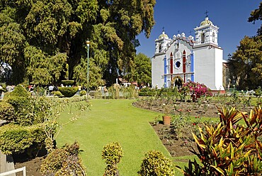 Church at the Arbol de Tule, tree of Tule, Santa Maria del Tule, Oaxaca, Mexico, Central America