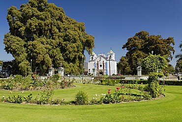 Church at the Arbol de Tule, tree of Tule, Santa Maria del Tule, Oaxaca, Mexico, Central America