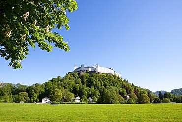 Hohensalzburg Castle, Nonntal valley, Salzburg, Austria, Europe