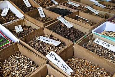 Dried mushrooms, Chinese market