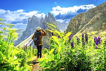 Female hiker enjoying the breathtaking view of the odle mountains on seceda during a sunny summer day, italian alps