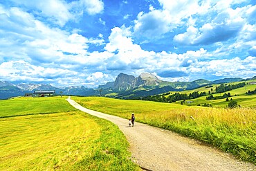 Tourists enjoying a scenic walk on a sunny summer day at alpe di siusi, with the sassolungo mountain in the background