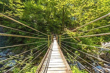 Wooden suspension bridge crossing over a clear stream in tolmin gorge, slovenia, surrounded by lush green foliage on a sunny summer day