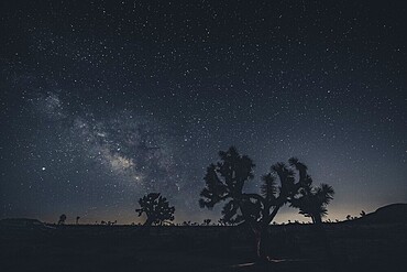 Starry sky with the Milky Way in Joshua Tree National Park