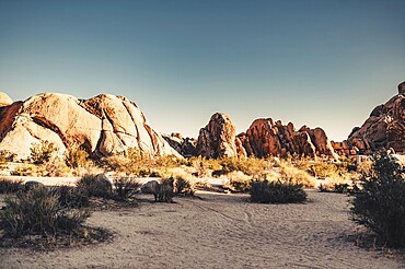 Joshua Tree National Park