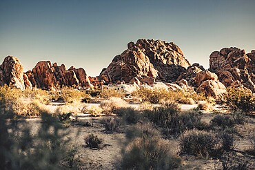 Joshua Tree National Park