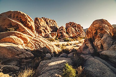 Sunrise in Joshua Tree National Park