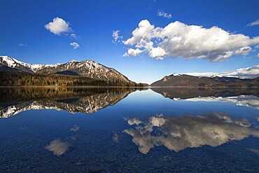 Reflection in Lake Walchensee, German Alps, Bavaria, Germany, Europe