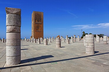 Hassan tower, Rabat, Morocco, Africa