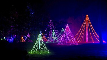 Wisley, Woking, Surrey, UK, November 19 : Christmas Glow 2022 at RHS Garden Wisley, Woking, Surrey, England, UK on November 19, 2022