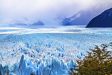 The spectacular glacier Perito Moreno, located in the national park of Los Glaciares in the Argentine part of Patagonia. The concept of ecological and extreme tourism