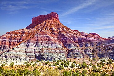 Grandiose mountains of red sandstone. Arizona, Utah.Paria Canyon-Vermilion Cliffs Wilderness Area. Independent travel to the USA. The concept of active, extreme and photo tourism