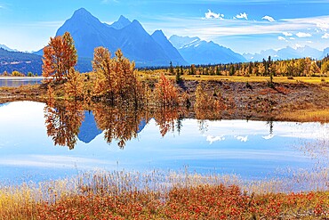 Smooth water of artificial lake Abraham reflects the Rocky Mountains. Sunny day in October. Gorgeous Canadian autumn