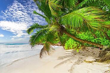 The Beach Anse Georgette at Praslin Island, Seychelles, Indian Ocean, Africa