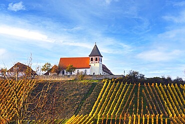 The Michaelsberg in Cleebronn, Zabergäu, Baden-Württemberg, Germany, Europe
