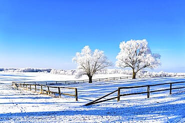 Snow-covered landscape in winter in Masuria in eastern Poland