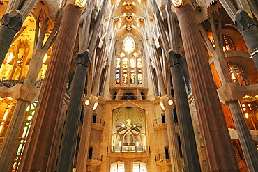 Barcelona, Spain - 15 December 2019: Sagrada Familia interiors - columns, vaults, stained glass and ceiling in Barcelona, Spain, Europe