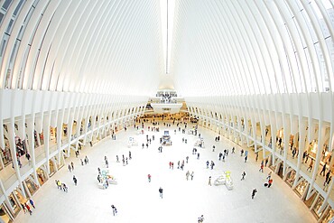 Westfield World Trade Center (Westfield World Trade Center). Shooting Location: New York, Manhattan