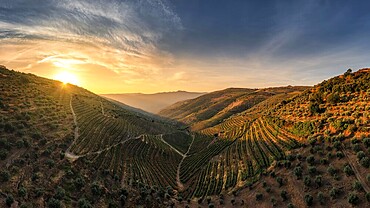 Sao Joao da Resqueira - terraced Portuguese vineyards near Nagozelo do Douro, where port wine is produced