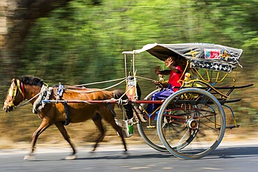 Greetings from the passing horse and cart, Myanmar, Burma, Southeast Asia, Asia