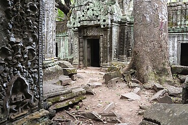 Enchanted temple city, jungle temple, mystical, Ta Prohm, Buddhist temple complex, UNESCO World Heritage Site, Angkor Wat, Siem Reap, Cambodia, Southeast Asia, Asia