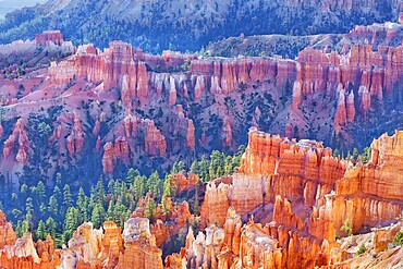 Bryce Canyon, Bryce Canyon National Park, Utah, USA, North America