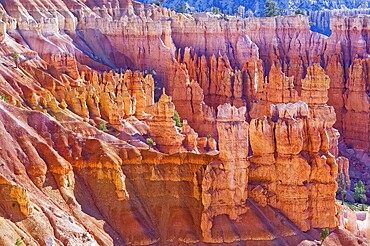 Bryce Canyon, Bryce Canyon National Park, Utah, USA, North America