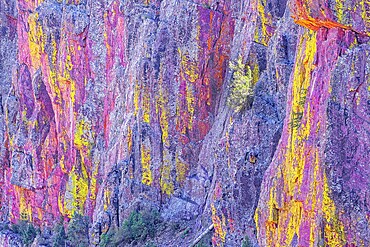 Multicoloured canyon wall, Coconino National Forest, Arizona, USA, North America