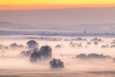 Morning scene at sunrise with misty fields, trees and cathedral tower in the background, Galgenberg, Aachried, Radolfzell, Lake Constance, Baden-Württemberg, Germany, Europe