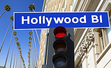 Hollywood Boulevard redlight sign illustration on palm trees background
