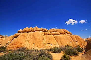 Joshua Tree National Park Jumbo Rocks in Yucca valley Mohave Desert California USA