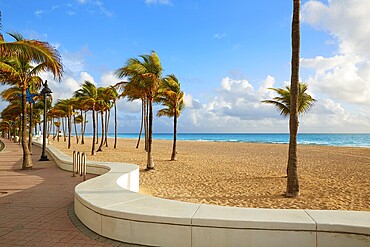 Fort Lauderdale beach morning sunrise in Florida USA palm trees