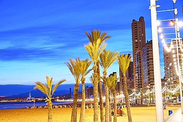 Benidorm skyline at sunset beach in Alicante of Apain