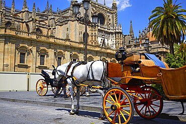 Seville horse carriages in Cathedral of Sevilla Andalusia Spain