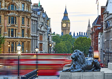London Trafalgar Square lion and Big Ben tower at background