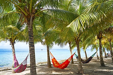 Cozumel island beach palm tree hammocks in Riviera Maya of Mexico