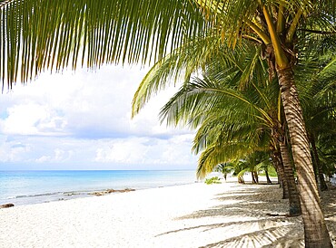 Cozumel island beach in Riviera Maya of Mayan Mexico