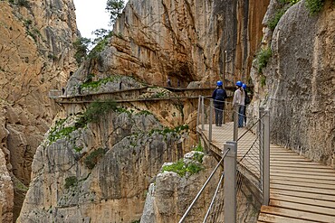 People with helmets walking on the wooden path Caminito del Rey along a rocky cliff, Malaga, Spain, Europe