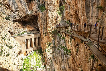 View of a viaduct and hikers on the Caminito del Rey path, embedded in a rocky gorge, Malaga, Spain, Europe