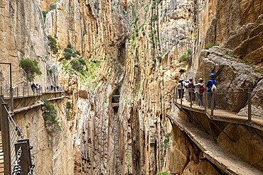 People with helmets walking along the Caminito del Rey in an impressive rocky landscape, Malaga, Spain, Europe